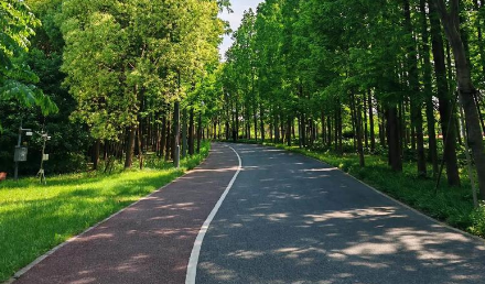 十堰恐龍化工：自行車(chē)綠道施工的理想之選